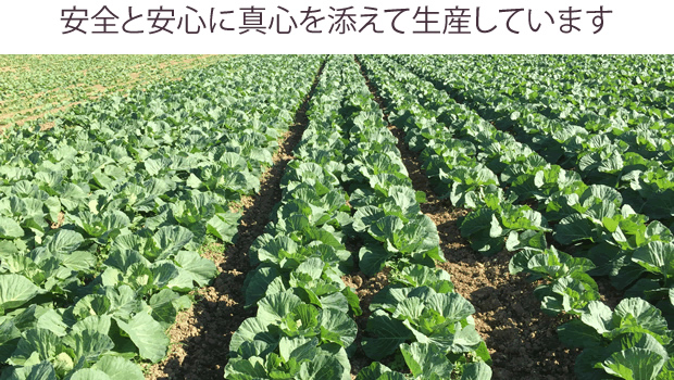 野菜の販売